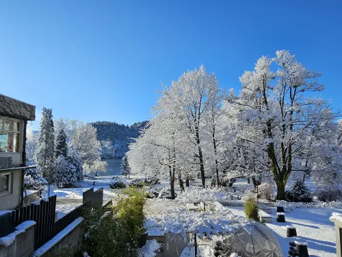 Bled Rose Hotel À proximité de l'hôtel Photos