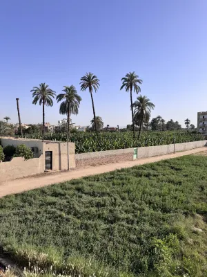 El Nakhil Hotel À proximité de l'hôtel Photos