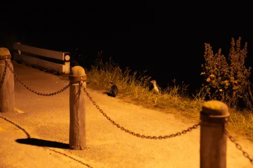 The Mews Oamaru Near Hotel Photos