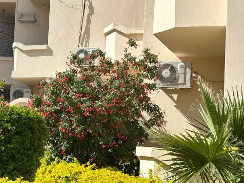 El Nakhil Hotel Photos