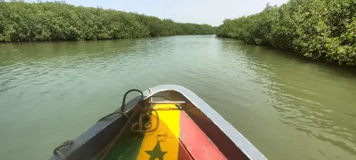 Royam Hôtel - Saly Sénégal À proximité de l'hôtel Photos