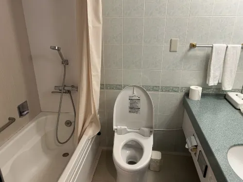 International Garden Hotel Narita Rooms Photos