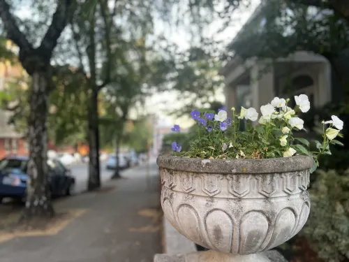Park Lane Suites & Inn Photos