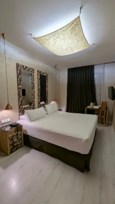 Axel Hotel Barcelona & Urban Spa- Adults Only Chambres Photos