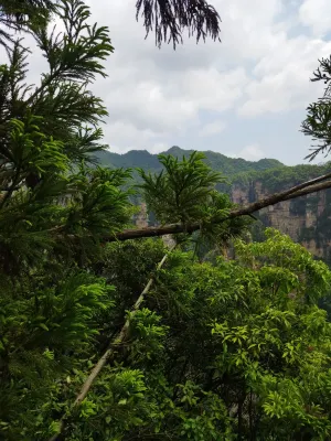 Zhangjiajie Mido Inn (Wulingyuan East Gate) Area Publik Photos