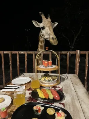 Baobab Safari Resort Photos