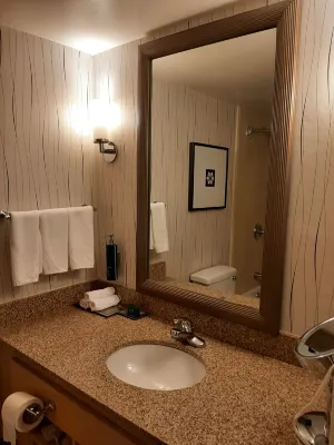 Hilton Los Angeles Airport Camere Photos