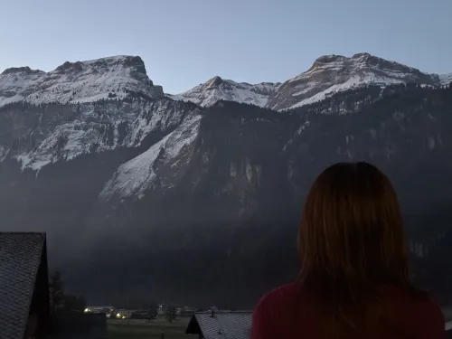 Hotel Brienz Hotellin lähellä Photos