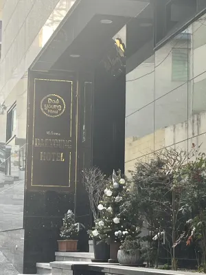 Daeyoung Hotel Myeongdong Photos