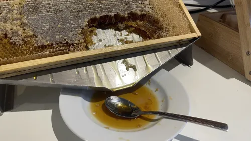 Hampton by Hilton Rome North Fiano Romano Dining Photos