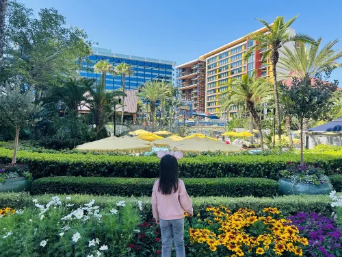 Disneyland Hotel Photos