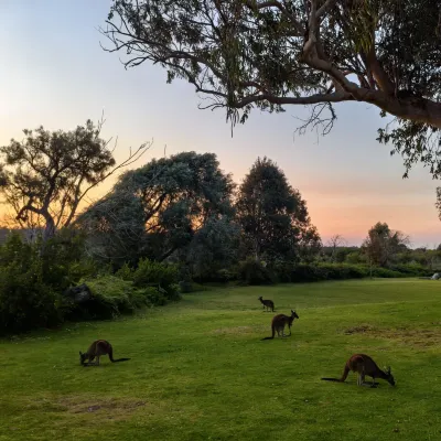 Yanchep Inn À proximité de l'hôtel Photos