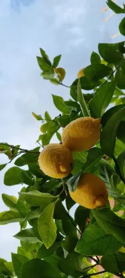 퀸 비 호텔 Photos