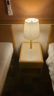 Toyoko Inn Hitachi Ekimae Chambres Photos