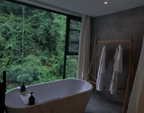 Daydream Hotel Zimmer Photos