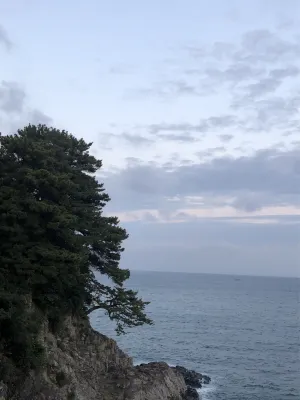 Kenny Stay Jeju Seogwipo Area Publik Photos