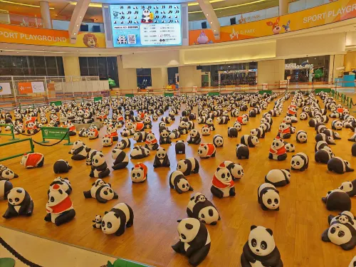 Panda Hotel Photos