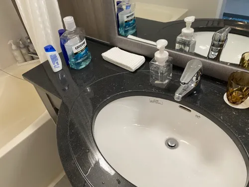 Shibuya Excel Hotel Tokyu Rooms Photos