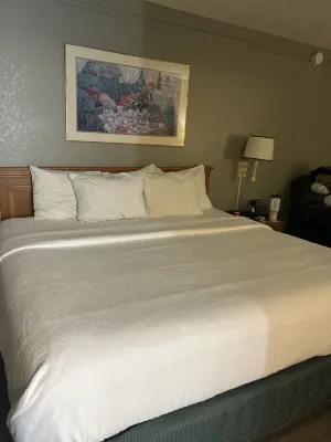 La Quinta Inn by Wyndham Norfolk Virginia Beach Chambres Photos