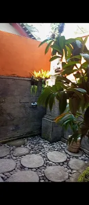 Villa JJ and Spa Ubud Photos