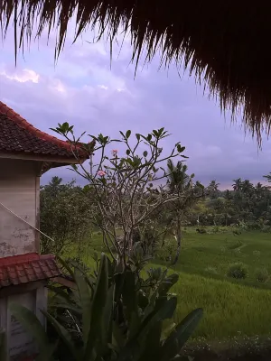 Mesari Hotel Ubud Öffentliche Flächen Photos