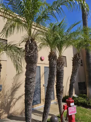 Sonesta Select Los Angeles Torrance South Bay Photos