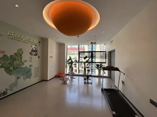 Xiong Yi Cat is tired at the hotel (chengdu Panda Base Branch) Leisure & Recreation Photos