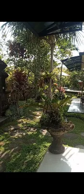 Villa JJ and Spa Ubud Photos