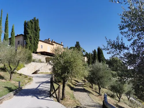 Rosewood Castiglion del Bosco Circondario Photos