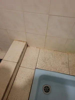 Badala Park Hotel Rooms Photos