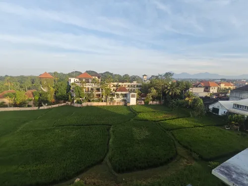 The Evitel Resort Ubud Dekat Hotel Photos