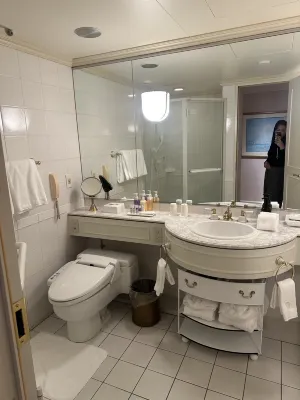 Dai-Ichi Hotel Tokyo Rooms Photos