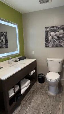 La Quinta Inn & Suites by Wyndham Visalia/Sequoia Gateway Kamar Photos