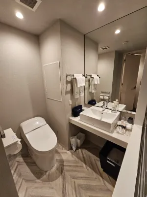 Daiwa Roynet Hotel Tokyo Kyobashi Premier الغرف Photos