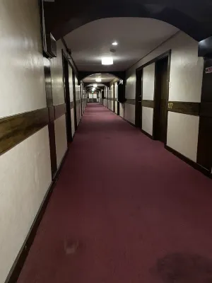 Maharajah Hotel Aree comuni Photos