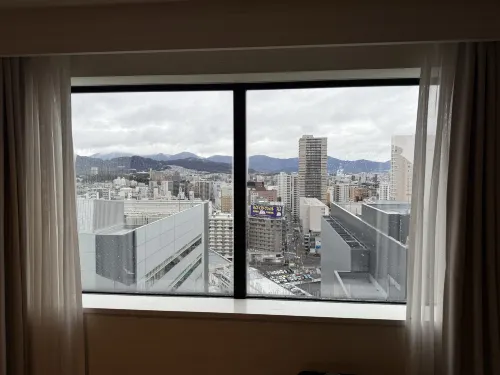 Daiwa Roynet Hotel Hiroshima-Ekimae Photos