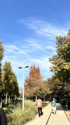 브라운스위트호텔 신촌센트럴 호텔 주변 Photos
