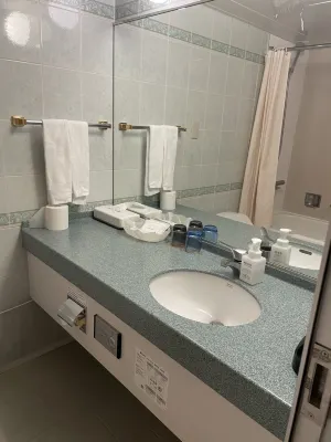 International Garden Hotel Narita Rooms Photos