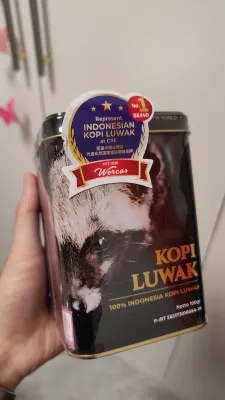 Khách sạn Aurora Photos