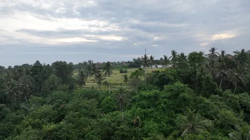 Tejaprana Bisma Ubud Bali Near Hotel Photos