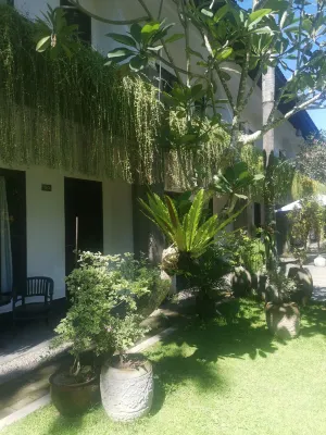Ubud Raya Boutique Hotel Photos