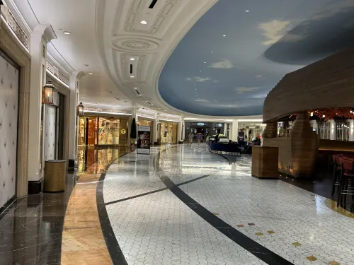 Park MGM Las Vegas Общественные зоны Photos