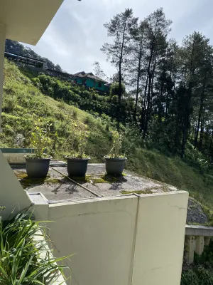Puncak Pass Resort Photos
