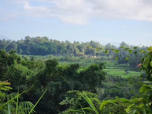 The Samaya Ubud In der Nähe des Hotels Photos
