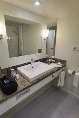 Mercure Paris CDG Airport & Convention Chambres Photos
