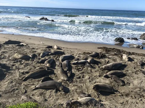 Sea Breeze Inn - San Simeon À proximité de l'hôtel Photos