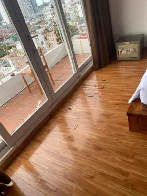 Rex Hotel & Apartment Phòng Photos