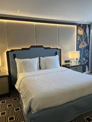 Hôtel Bristol Genève Chambres Photos