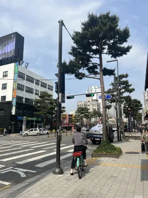 New Chonji Hotel Near Hotel Photos