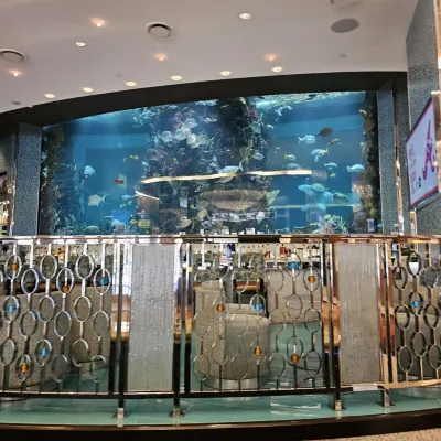 Golden Nugget Las Vegas Aree comuni Photos